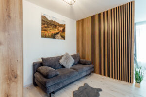 Pull-out sofa as extra bed for 2 in Lux Plus apartment, Miracle Seasons Demänová, Jasná